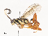 ( - CBG-A41841-F10)  @11 [ ] CreativeCommons - Attribution Share - Alike (2024) CBG Photography Group Centre for Biodiversity Genomics