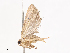  ( - CBG-A40150-B06)  @11 [ ] CreativeCommons - Attribution Share - Alike (2024) CBG Photography Group Centre for Biodiversity Genomics