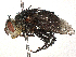  ( - CBG-A40151-C06)  @11 [ ] CreativeCommons - Attribution Share-Alike (2024) CBG Photography Group Centre for Biodiversity Genomics