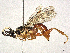  ( - CBG-A40151-G01)  @11 [ ] CreativeCommons - Attribution Share-Alike (2024) CBG Photography Group Centre for Biodiversity Genomics