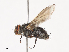  ( - CBG-A40152-A12)  @11 [ ] CreativeCommons - Attribution Share - Alike (2024) CBG Photography Group Centre for Biodiversity Genomics