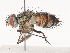  ( - CBG-A40212-D02)  @11 [ ] CreativeCommons - Attribution Share - Alike (2024) CBG Photography Group Centre for Biodiversity Genomics