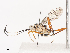  ( - CBG-A40212-H04)  @11 [ ] CreativeCommons - Attribution Share - Alike (2024) CBG Photography Group Centre for Biodiversity Genomics