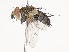  ( - CBG-A41809-D01)  @11 [ ] CreativeCommons - Attribution Share - Alike (2024) CBG Photography Group Centre for Biodiversity Genomics