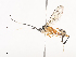  ( - CBG-A41809-G01)  @11 [ ] CreativeCommons - Attribution Share - Alike (2024) CBG Photography Group Centre for Biodiversity Genomics