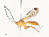  ( - CBG-A41809-G03)  @11 [ ] CreativeCommons - Attribution Share - Alike (2024) CBG Photography Group Centre for Biodiversity Genomics