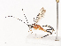  ( - CBG-A41811-G11)  @11 [ ] CreativeCommons - Attribution Share - Alike (2024) CBG Photography Group Centre for Biodiversity Genomics