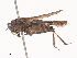  ( - CBG-A38489-E12)  @11 [ ] CreativeCommons - Attribution Share - Alike (2024) CBG Photography Group Centre for Biodiversity Genomics