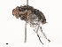  ( - CBG-A41779-G04)  @11 [ ] CreativeCommons - Attribution Share - Alike (2024) CBG Photography Group Centre for Biodiversity Genomics