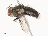  ( - CBG-A40208-C05)  @11 [ ] CreativeCommons - Attribution Share - Alike (2024) CBG Photography Group Centre for Biodiversity Genomics