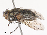  ( - CBG-A40208-C09)  @11 [ ] CreativeCommons - Attribution Share - Alike (2024) CBG Photography Group Centre for Biodiversity Genomics