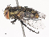  ( - CBG-A44314-C10)  @11 [ ] CreativeCommons - Attribution Share - Alike (2024) CBG Photography Group Centre for Biodiversity Genomics
