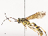  ( - CBG-A44315-C10)  @11 [ ] CreativeCommons - Attribution Share - Alike (2024) CBG Photography Group Centre for Biodiversity Genomics