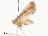  ( - CBG-A44316-G07)  @11 [ ] CreativeCommons - Attribution Share - Alike (2024) CBG Photography Group Centre for Biodiversity Genomics