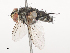  ( - CBG-A44317-B09)  @11 [ ] CreativeCommons - Attribution Share - Alike (2024) CBG Photography Group Centre for Biodiversity Genomics