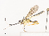  ( - CBG-A44361-C01)  @11 [ ] CreativeCommons - Attribution Share - Alike (2024) CBG Photography Group Centre for Biodiversity Genomics