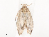  ( - CBG-A44361-C11)  @11 [ ] CreativeCommons - Attribution Share - Alike (2024) CBG Photography Group Centre for Biodiversity Genomics