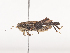  ( - CBG-A44361-D09)  @11 [ ] CreativeCommons - Attribution Share - Alike (2024) CBG Photography Group Centre for Biodiversity Genomics