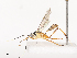  ( - CBG-A44361-D12)  @11 [ ] CreativeCommons - Attribution Share - Alike (2024) CBG Photography Group Centre for Biodiversity Genomics