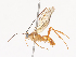  ( - CBG-A44409-C11)  @11 [ ] CreativeCommons - Attribution Share - Alike (2024) CBG Photography Group Centre for Biodiversity Genomics