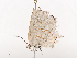 ( - CBG-A41766-F12)  @11 [ ] CreativeCommons - Attribution Share - Alike (2024) CBG Photography Group Centre for Biodiversity Genomics