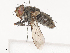  ( - CBG-A41766-H10)  @11 [ ] CreativeCommons - Attribution Share - Alike (2024) CBG Photography Group Centre for Biodiversity Genomics