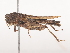  ( - CBG-A41767-E05)  @11 [ ] CreativeCommons - Attribution Share - Alike (2024) CBG Photography Group Centre for Biodiversity Genomics