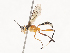  ( - CBG-A44290-B02)  @11 [ ] CreativeCommons - Attribution Share - Alike (2024) CBG Photography Group Centre for Biodiversity Genomics
