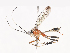  ( - CBG-A44290-B05)  @11 [ ] CreativeCommons - Attribution Share - Alike (2024) CBG Photography Group Centre for Biodiversity Genomics