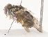  ( - CBG-A44290-D01)  @11 [ ] CreativeCommons - Attribution Share - Alike (2024) CBG Photography Group Centre for Biodiversity Genomics