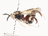  ( - CBG-A44291-C04)  @11 [ ] CreativeCommons - Attribution Share - Alike (2024) CBG Photography Group Centre for Biodiversity Genomics