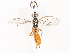  ( - CBG-A44291-C05)  @11 [ ] CreativeCommons - Attribution Share - Alike (2024) CBG Photography Group Centre for Biodiversity Genomics