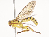  ( - CBG-A44291-D02)  @11 [ ] CreativeCommons - Attribution Share - Alike (2024) CBG Photography Group Centre for Biodiversity Genomics