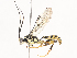  ( - CBG-A44291-E01)  @11 [ ] CreativeCommons - Attribution Share - Alike (2024) CBG Photography Group Centre for Biodiversity Genomics