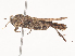  ( - CBG-A40191-C02)  @11 [ ] CreativeCommons - Attribution Share - Alike (2024) CBG Photography Group Centre for Biodiversity Genomics