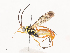 ( - CBG-A40191-H03)  @11 [ ] CreativeCommons - Attribution Share - Alike (2024) CBG Photography Group Centre for Biodiversity Genomics