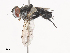  ( - CBG-A41777-E04)  @11 [ ] CreativeCommons - Attribution Share - Alike (2024) CBG Photography Group Centre for Biodiversity Genomics