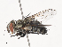  ( - CBG-A41777-E10)  @11 [ ] CreativeCommons - Attribution Share - Alike (2024) CBG Photography Group Centre for Biodiversity Genomics