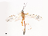  ( - CBG-A41777-G09)  @11 [ ] CreativeCommons - Attribution Share - Alike (2024) CBG Photography Group Centre for Biodiversity Genomics