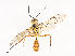  ( - CBG-A41777-G11)  @11 [ ] CreativeCommons - Attribution Share - Alike (2024) CBG Photography Group Centre for Biodiversity Genomics
