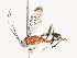  ( - CBG-A41777-H01)  @11 [ ] CreativeCommons - Attribution Share - Alike (2024) CBG Photography Group Centre for Biodiversity Genomics