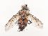  ( - CBG-A41779-B09)  @11 [ ] CreativeCommons - Attribution Share - Alike (2024) CBG Photography Group Centre for Biodiversity Genomics