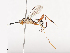  ( - CBG-A41819-A12)  @11 [ ] CreativeCommons - Attribution Share - Alike (2024) CBG Photography Group Centre for Biodiversity Genomics