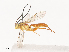  ( - CBG-A41819-C08)  @11 [ ] CreativeCommons - Attribution Share - Alike (2024) CBG Photography Group Centre for Biodiversity Genomics