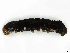  ( - CBG-A41819-H09)  @11 [ ] CreativeCommons - Attribution Share-Alike (2024) CBG Photography Group Centre for Biodiversity Genomics