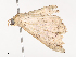  ( - CBG-A41822-A08)  @11 [ ] CreativeCommons - Attribution Share - Alike (2024) CBG Photography Group Centre for Biodiversity Genomics
