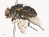  ( - CBG-A41822-A11)  @11 [ ] CreativeCommons - Attribution Share - Alike (2024) CBG Photography Group Centre for Biodiversity Genomics