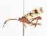  ( - CBG-A41822-E01)  @11 [ ] CreativeCommons - Attribution Share - Alike (2024) CBG Photography Group Centre for Biodiversity Genomics