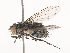  ( - CBG-A41822-E04)  @11 [ ] CreativeCommons - Attribution Share - Alike (2024) CBG Photography Group Centre for Biodiversity Genomics