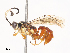  ( - CBG-A41842-B09)  @11 [ ] CreativeCommons - Attribution Share - Alike (2024) CBG Photography Group Centre for Biodiversity Genomics